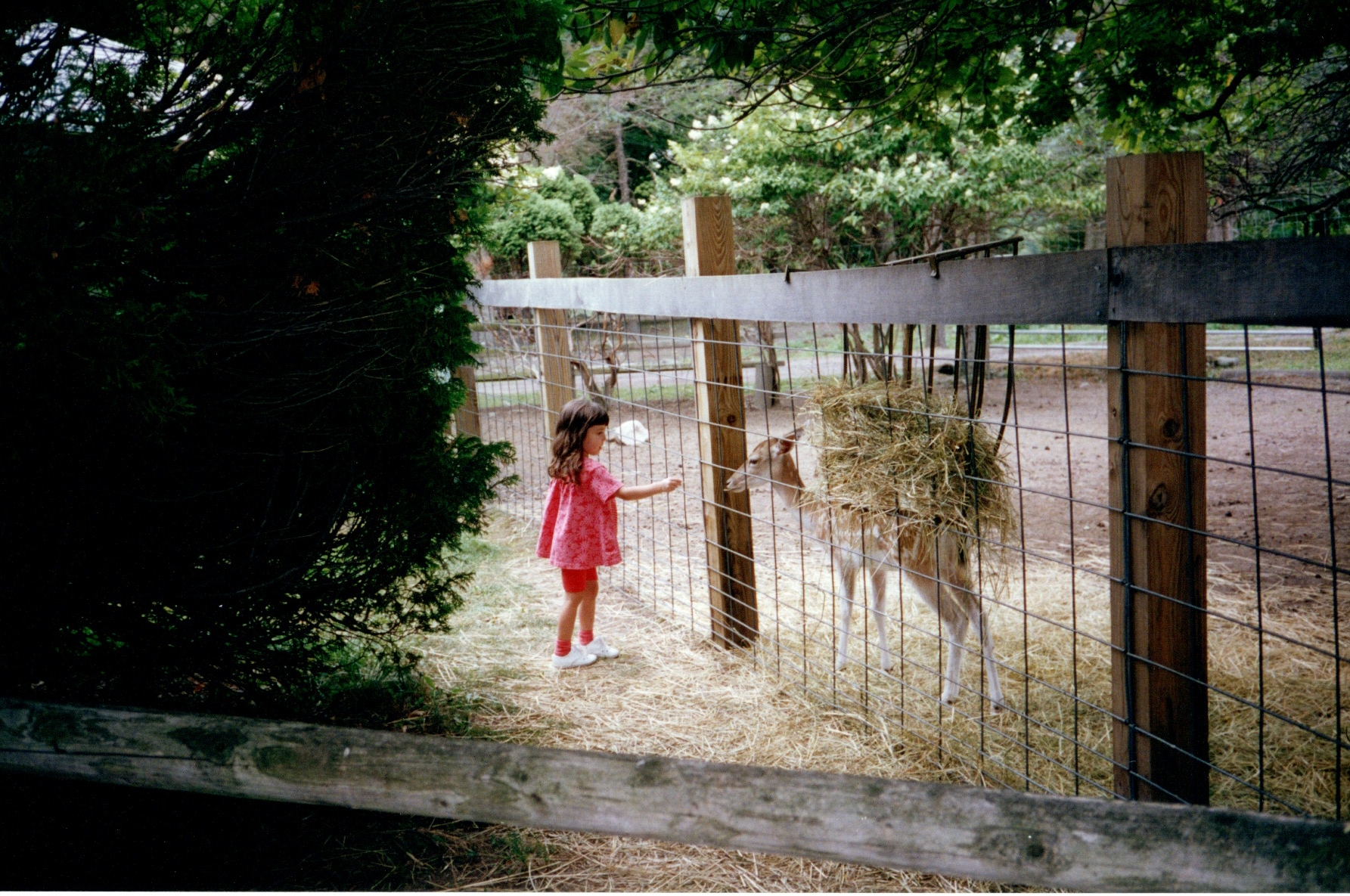 ./1997/08 - August/img05172020_221.jpg